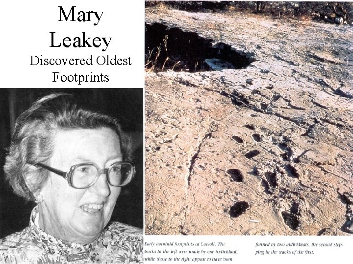 Mary Leakey Discovered Oldest Footprints 