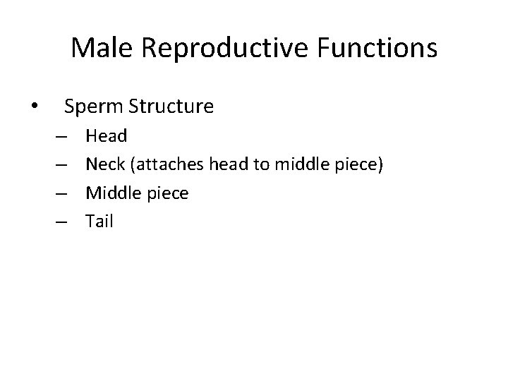 Male Reproductive Functions • Sperm Structure – – Head Neck (attaches head to middle