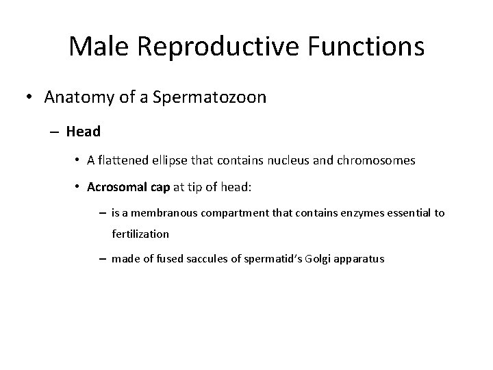 Male Reproductive Functions • Anatomy of a Spermatozoon – Head • A flattened ellipse