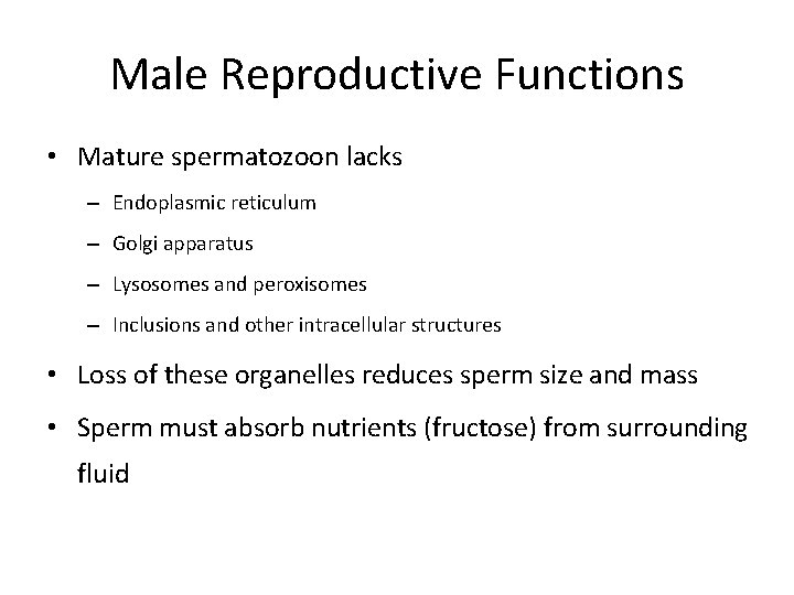 Male Reproductive Functions • Mature spermatozoon lacks – Endoplasmic reticulum – Golgi apparatus –