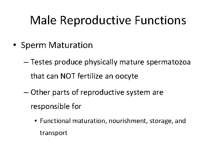 Male Reproductive Functions • Sperm Maturation – Testes produce physically mature spermatozoa that can