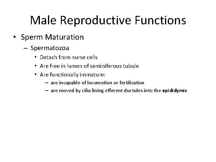 Male Reproductive Functions • Sperm Maturation – Spermatozoa • Detach from nurse cells •