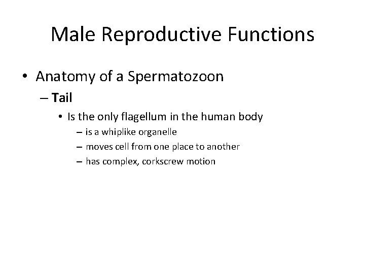 Male Reproductive Functions • Anatomy of a Spermatozoon – Tail • Is the only