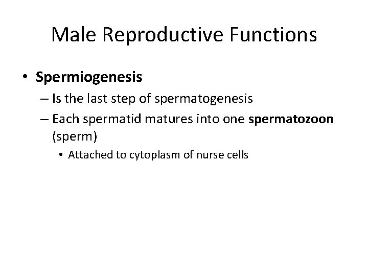 Male Reproductive Functions • Spermiogenesis – Is the last step of spermatogenesis – Each