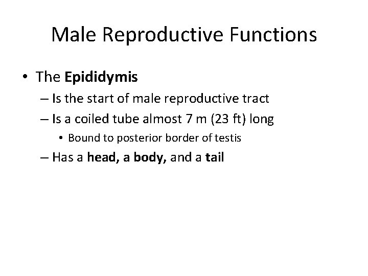 Male Reproductive Functions • The Epididymis – Is the start of male reproductive tract