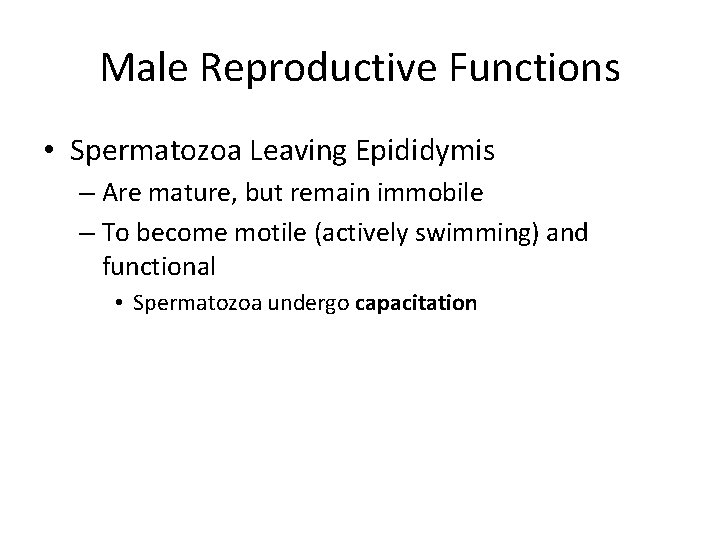 Male Reproductive Functions • Spermatozoa Leaving Epididymis – Are mature, but remain immobile –
