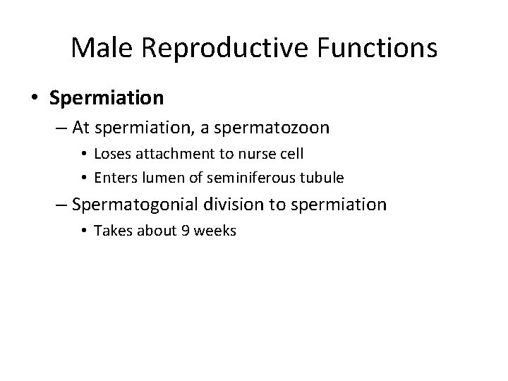 Male Reproductive Functions • Spermiation – At spermiation, a spermatozoon • Loses attachment to