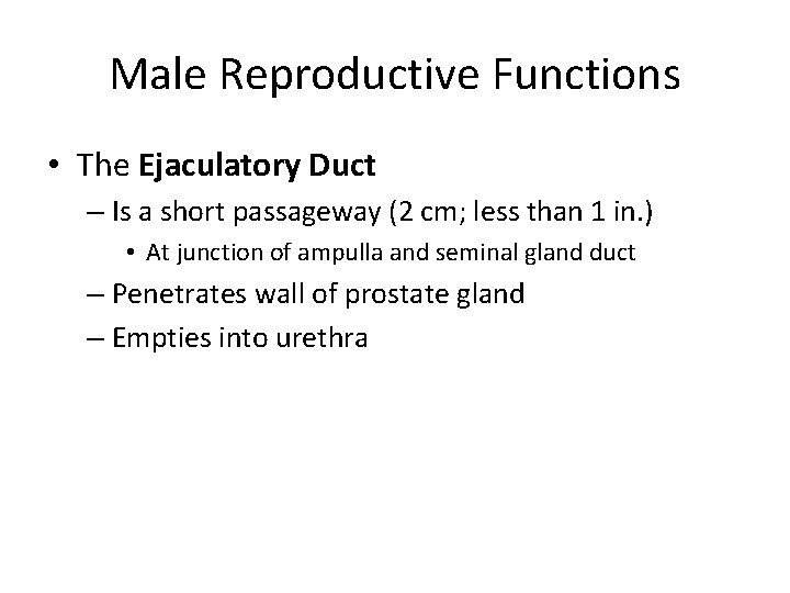 Male Reproductive Functions • The Ejaculatory Duct – Is a short passageway (2 cm;