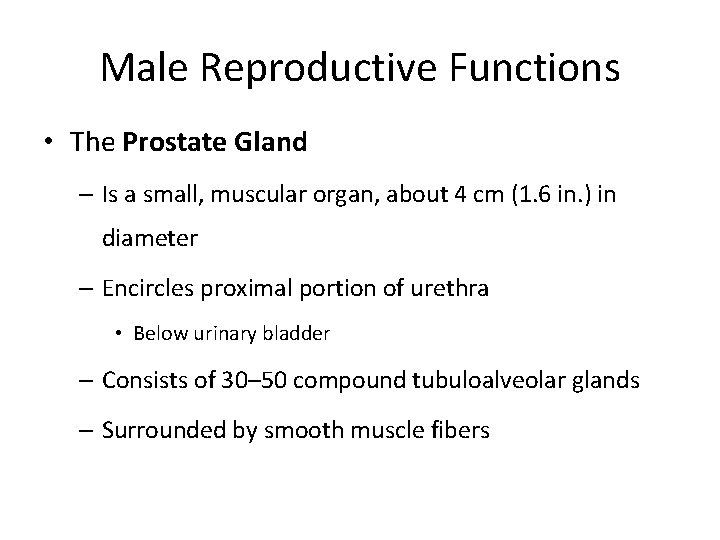 Male Reproductive Functions • The Prostate Gland – Is a small, muscular organ, about