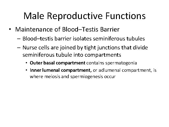 Male Reproductive Functions • Maintenance of Blood–Testis Barrier – Blood–testis barrier isolates seminiferous tubules