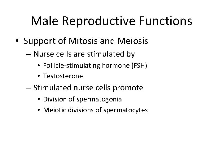 Male Reproductive Functions • Support of Mitosis and Meiosis – Nurse cells are stimulated