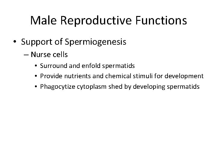 Male Reproductive Functions • Support of Spermiogenesis – Nurse cells • Surround and enfold