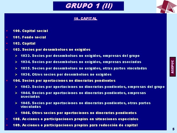 GRUPO 1 (II) 10. CAPITAL § 100. Capital social § 101. Fondo social §