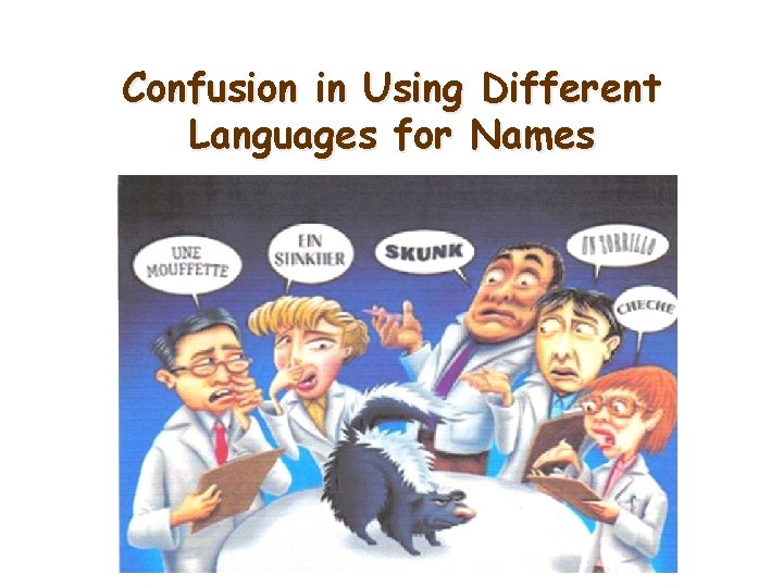Confusion in Using Different Languages for Names 