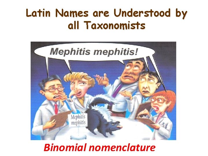Latin Names are Understood by all Taxonomists Binomial nomenclature 