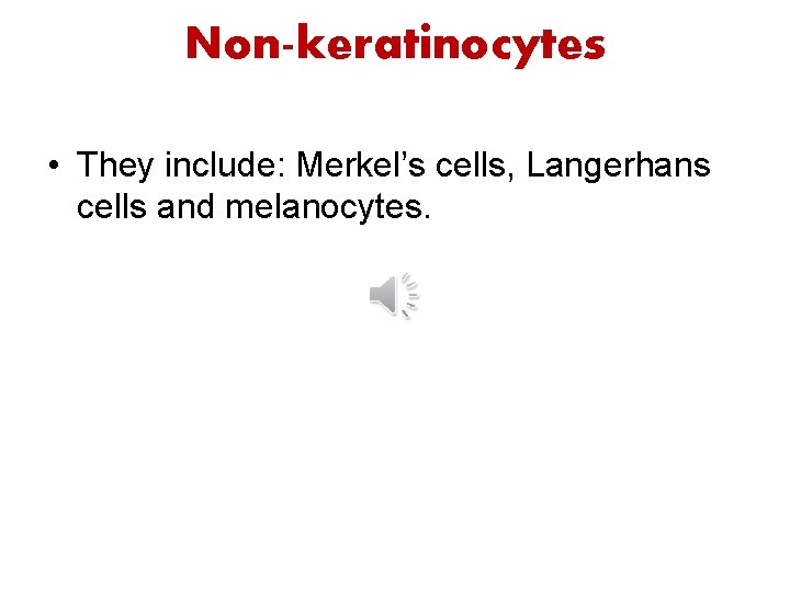 Non-keratinocytes • They include: Merkel’s cells, Langerhans cells and melanocytes. Non-keratinocytes • They include: Merkel’s cells, Langerhans cells and melanocytes.