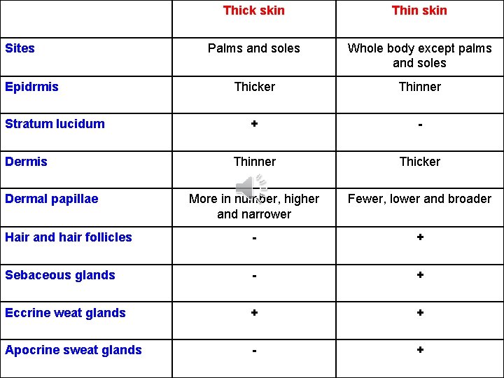 Thick skin Thin skin Palms and soles Whole body except palms and soles Thicker Thick skin Thin skin Palms and soles Whole body except palms and soles Thicker