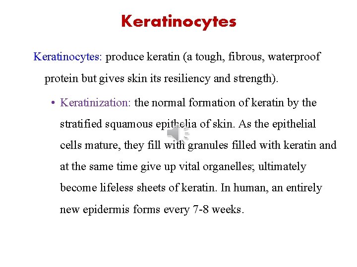 Keratinocytes: produce keratin (a tough, fibrous, waterproof protein but gives skin its resiliency and Keratinocytes: produce keratin (a tough, fibrous, waterproof protein but gives skin its resiliency and