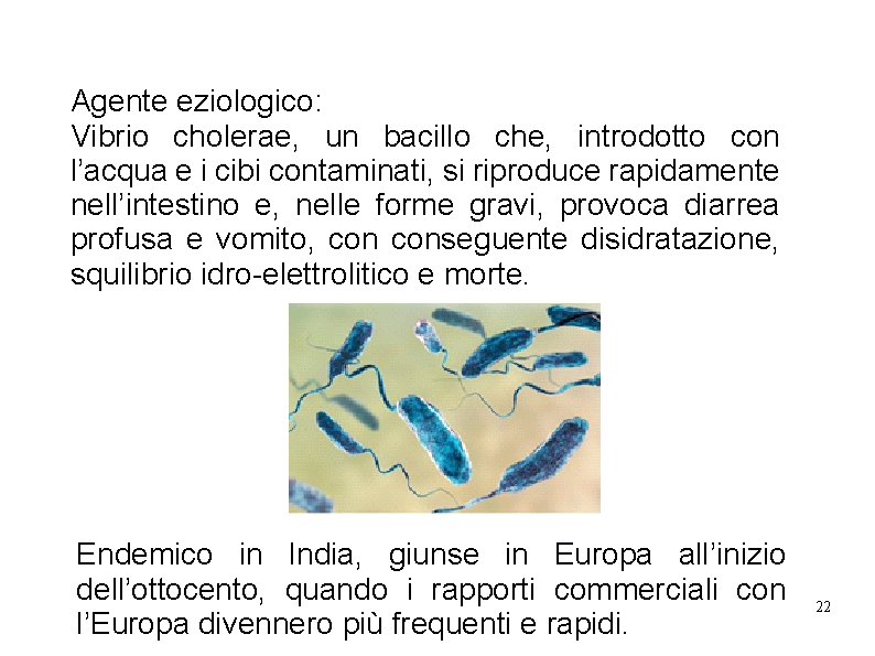 Agente eziologico: Vibrio cholerae, un bacillo che, introdotto con l’acqua e i cibi contaminati,