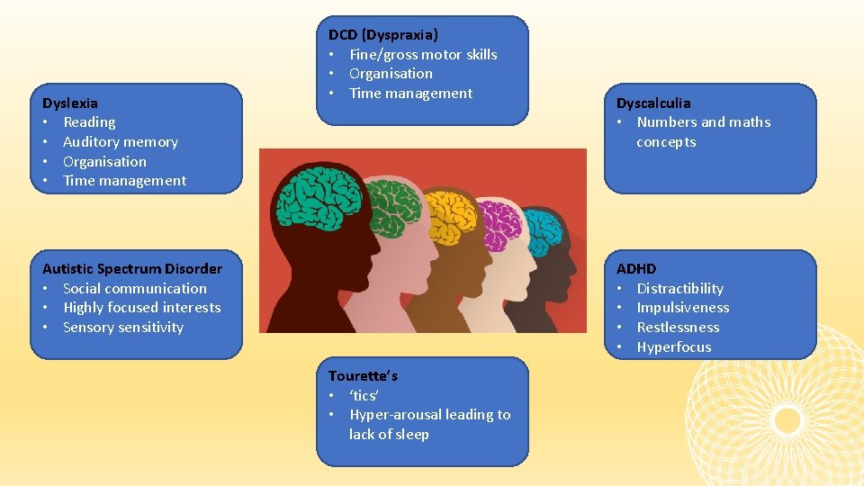 Dyslexia • Reading • Auditory memory • Organisation • Time management DCD (Dyspraxia) •