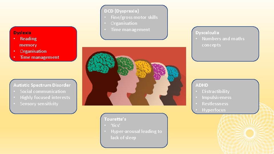 Dyslexia • Reading memory • Organisation • Time management DCD (Dyspraxia) • Fine/gross motor