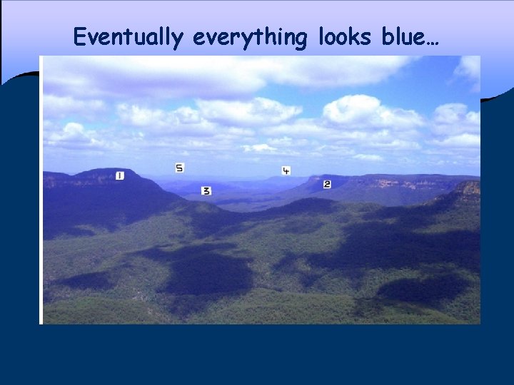 Eventually everything looks blue… 