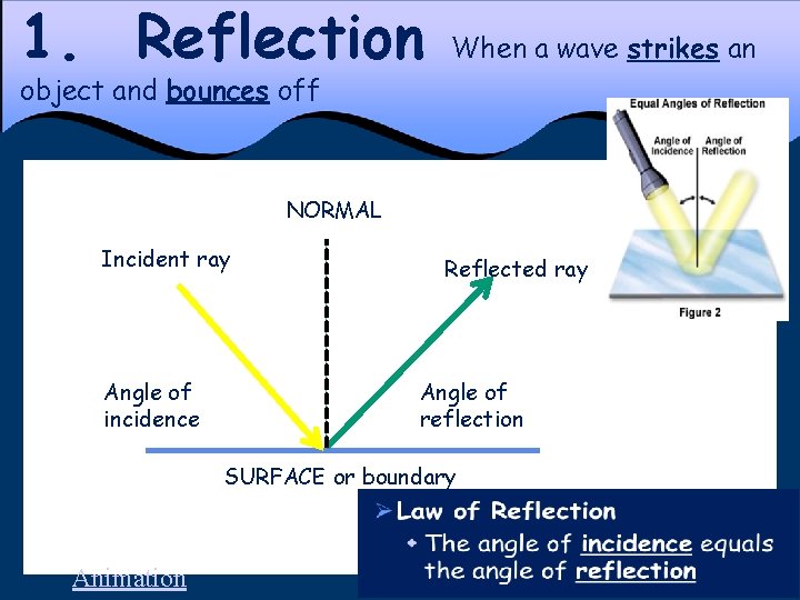 1. Reflection When a wave strikes an object and bounces off NORMAL Incident ray