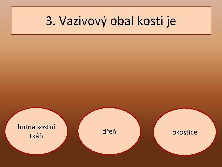 3. Vazivový obal kosti je hutná kostní tkáň dřeň okostice 