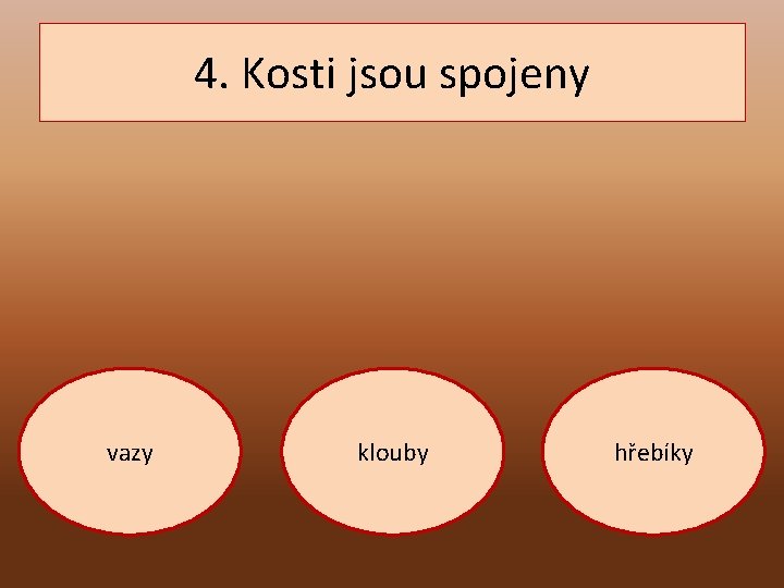 4. Kosti jsou spojeny vazy klouby hřebíky 