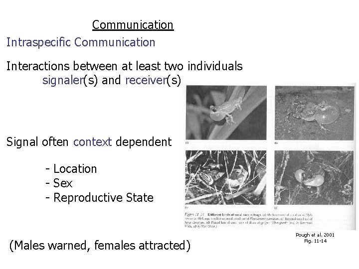 Communication Intraspecific Communication Interactions between at least two individuals signaler(s) and receiver(s) Signal often