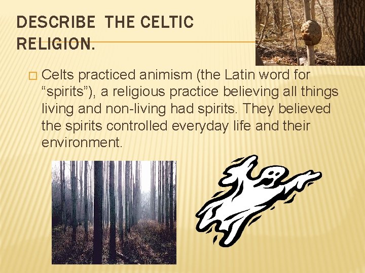 DESCRIBE THE CELTIC RELIGION. � Celts practiced animism (the Latin word for “spirits”), a