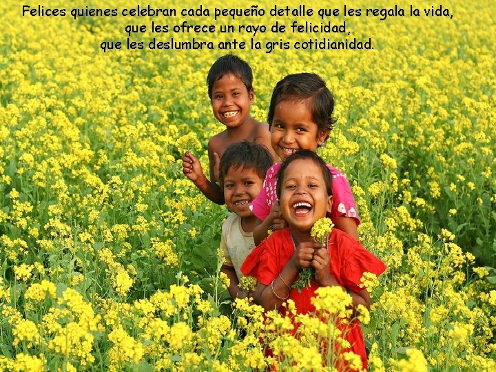 Felices quienes celebran cada pequeño detalle que les regala la vida, que les ofrece