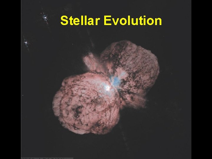 Stellar Evolution 