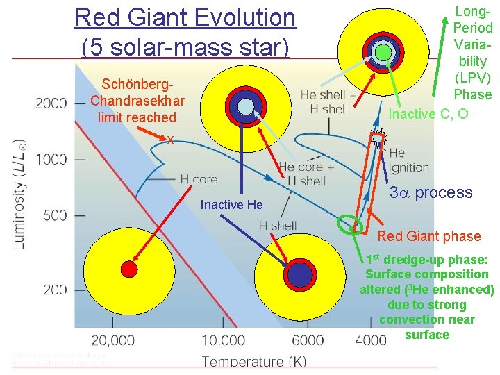 Red Giant Evolution (5 solar-mass star) Schönberg. Chandrasekhar limit reached Long. Period Variability (LPV)