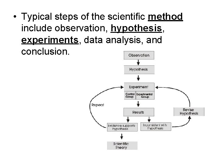 • Typical steps of the scientific method include observation, hypothesis, experiments, data analysis, • Typical steps of the scientific method include observation, hypothesis, experiments, data analysis,