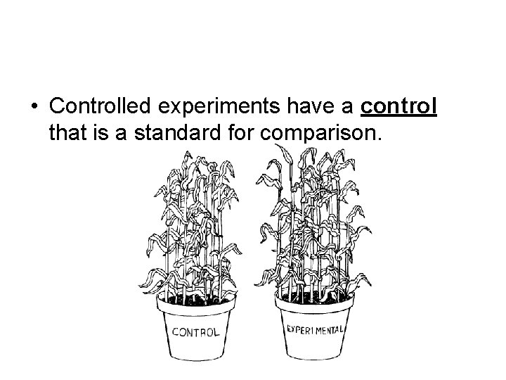 • Controlled experiments have a control that is a standard for comparison. • Controlled experiments have a control that is a standard for comparison.