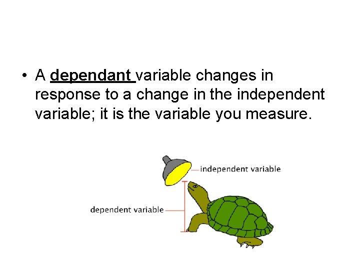 • A dependant variable changes in response to a change in the independent • A dependant variable changes in response to a change in the independent