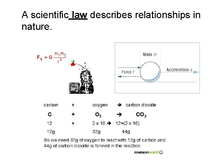 A scientific law describes relationships in nature. A scientific law describes relationships in nature.