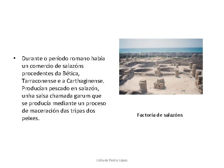  • Durante o período romano había un comercio de salazóns procedentes da Bética,