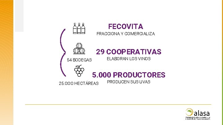 FECOVITA FRACCIONA Y COMERCIALIZA 29 COOPERATIVAS ELABORAN LOS VINOS 54 BODEGAS 5. 000 PRODUCTORES