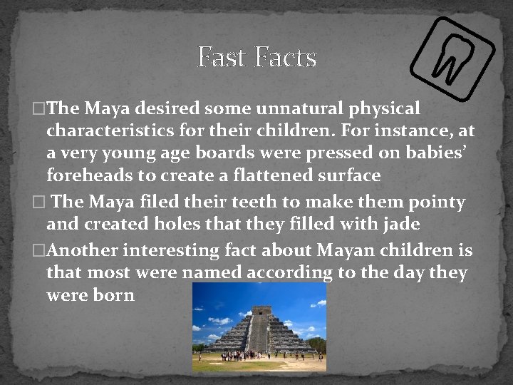 Fast Facts �The Maya desired some unnatural physical characteristics for their children. For instance,