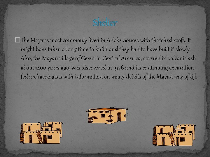 Shelter �The Mayans most commonly lived in Adobe houses with thatched roofs. It might