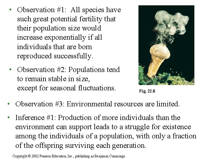  • Observation #1: All species have such great potential fertility that their population