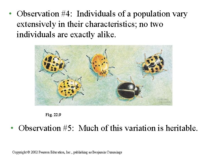  • Observation #4: Individuals of a population vary extensively in their characteristics; no