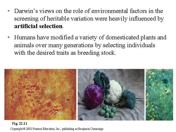  • Darwin’s views on the role of environmental factors in the screening of