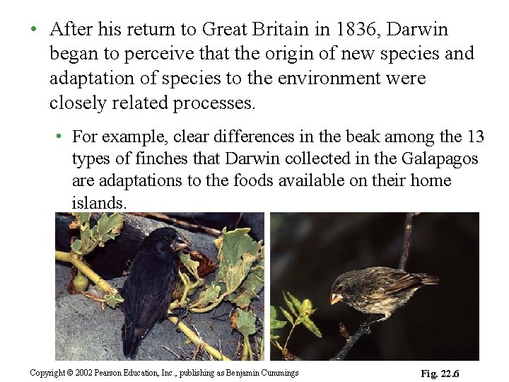  • After his return to Great Britain in 1836, Darwin began to perceive