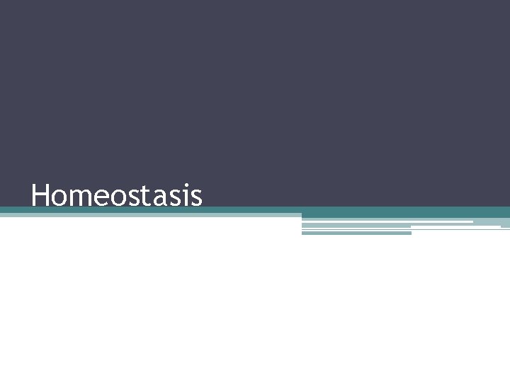 Homeostasis 