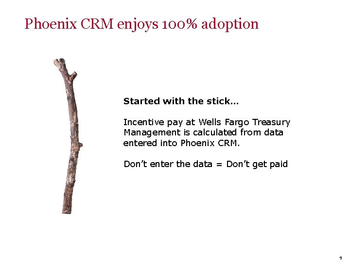 Phoenix CRM enjoys 100% adoption Started with the stick… Incentive pay at Wells Fargo