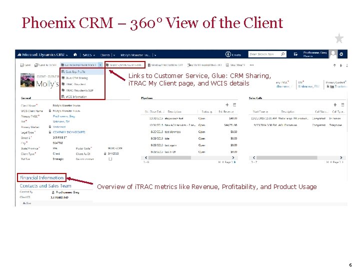 Phoenix CRM – 360° View of the Client Links to Customer Service, Glue: CRM