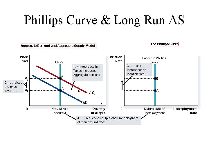 Phillips Curve & Long Run AS The Phillips Curve Aggregate Demand Aggregate Supply Model